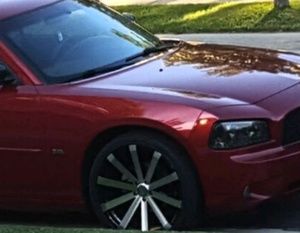 Meet your Posher, Cesar